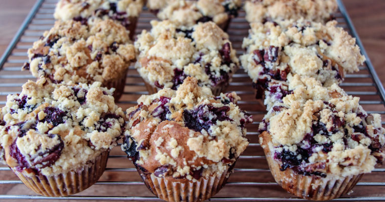 Blueberry Pecan Streusel Muffins